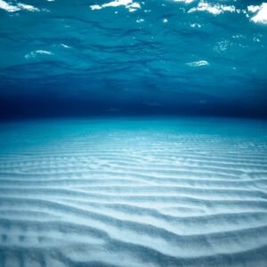 miedo al mar fobia