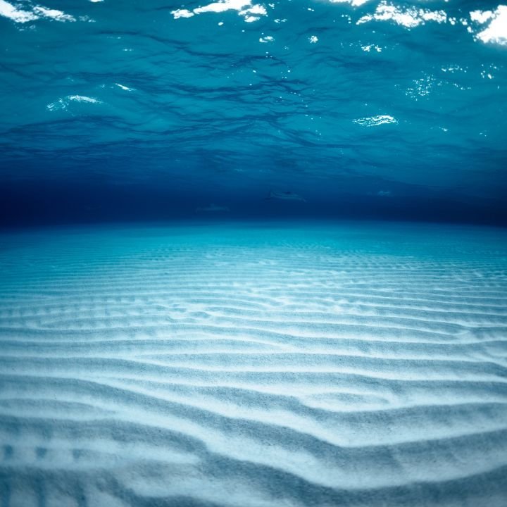 miedo al mar fobia