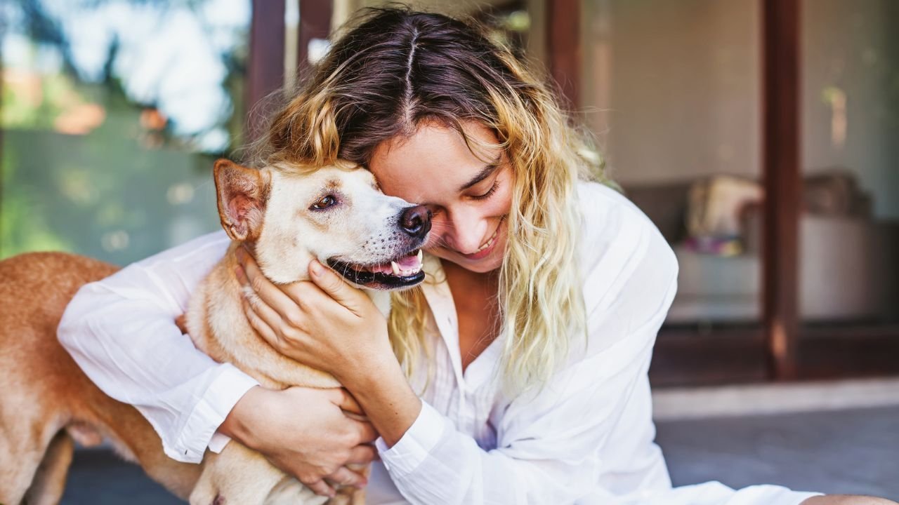 Beneficios de tener mascotas