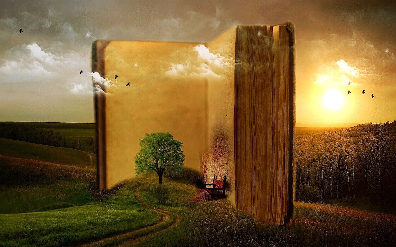 Libros de psicología recomendados
